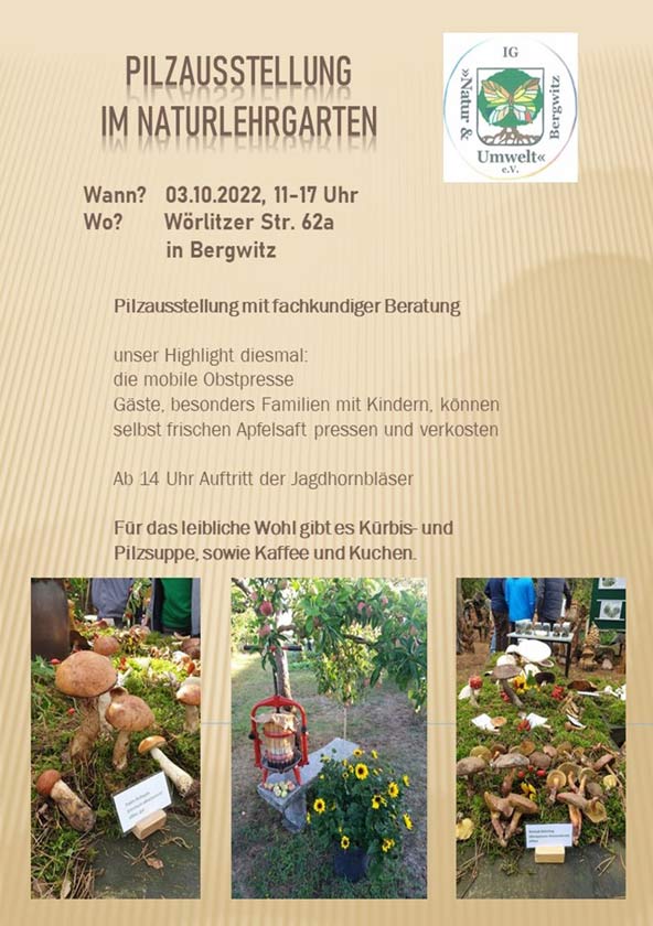 Flyer Pilzausstellung